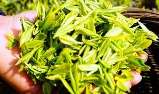 径山茶多少一斤 余杭径山茶